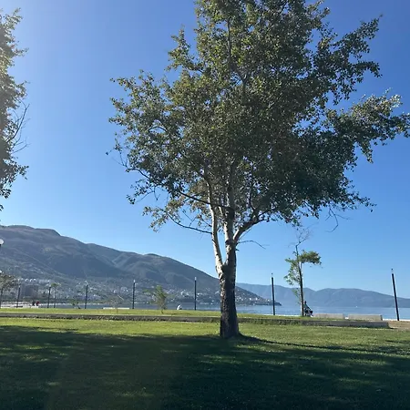 Lungomare At The And Car On Demand Wlora